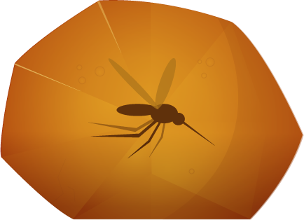 Amberstone_Mosquito.png